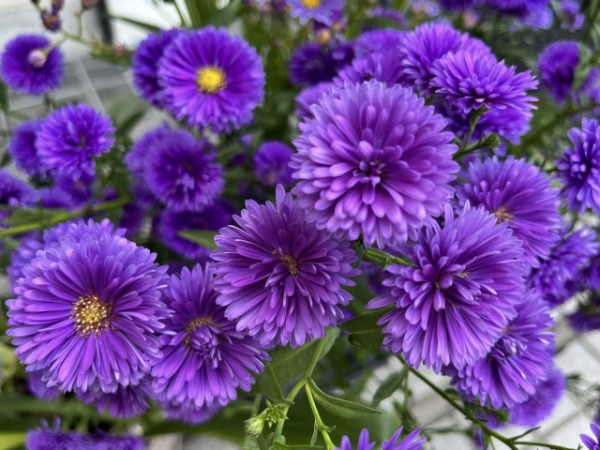 心が弱っている一番落ち込んでいる時期に親身になってくれた